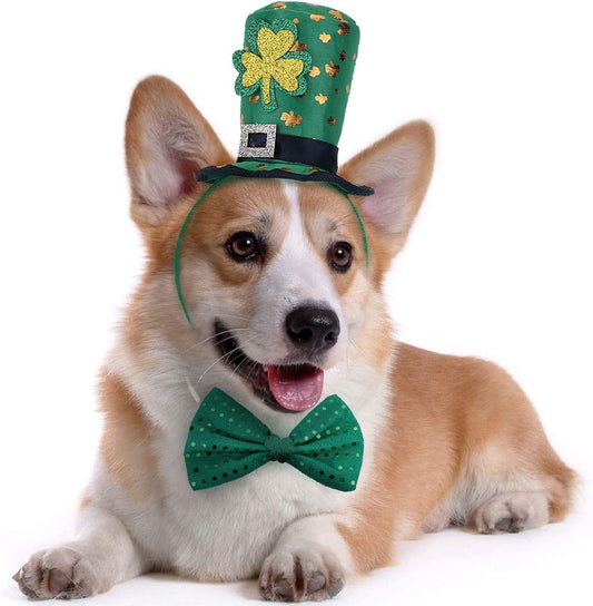 St Patricks Day Dog Costume - St. Patty'S Day Doggie Headband and Green Bow Tie Kit