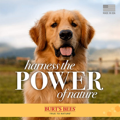 Burt'S Bees for Dogs Natural Skin Soothing Shampoo with Honey - Pet Shampoo for Dogs, Burts Bees Dog Shampoo for Smelly Dogs, Puppy Shampoo, Dog Wash, Dog Grooming Supplies, Dog Bathing Supplies